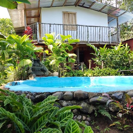 Cabana Vista Rio Celeste Екстериор снимка
