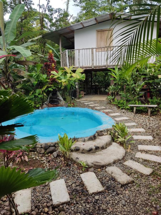 Cabana Vista Rio Celeste Екстериор снимка