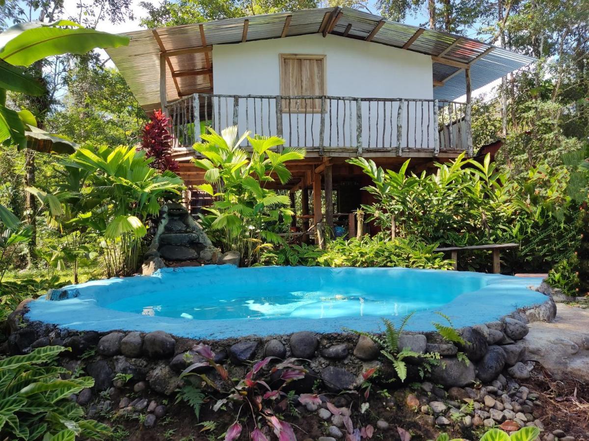 Cabana Vista Rio Celeste Екстериор снимка