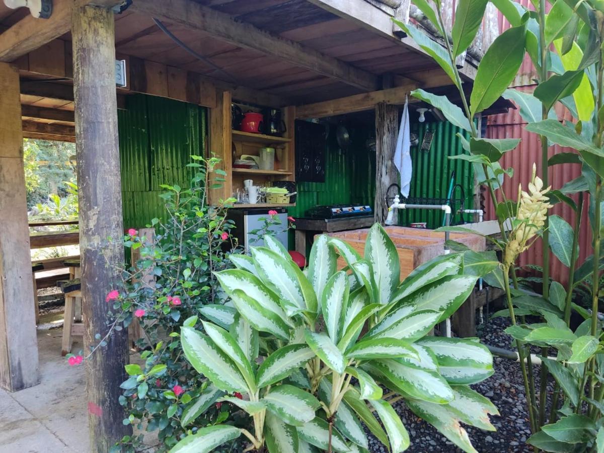 Cabana Vista Rio Celeste Екстериор снимка
