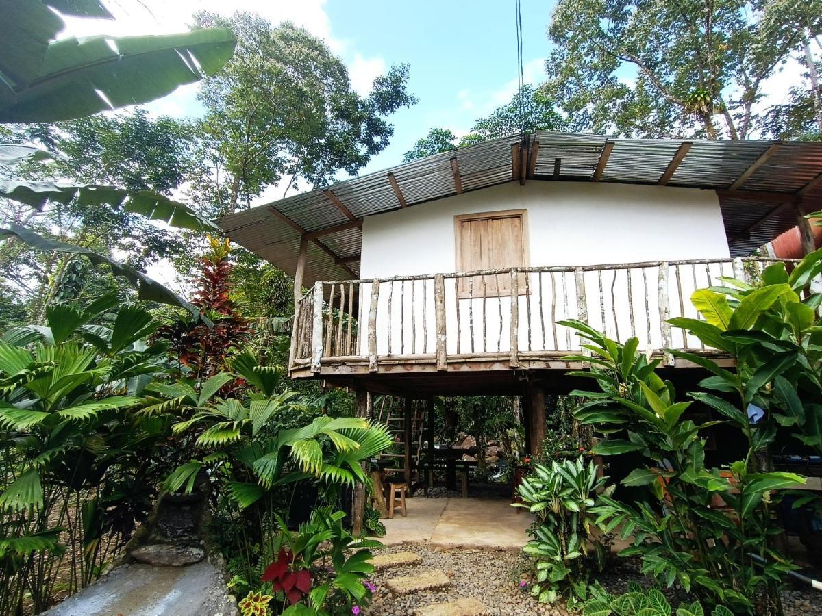 Cabana Vista Rio Celeste Екстериор снимка