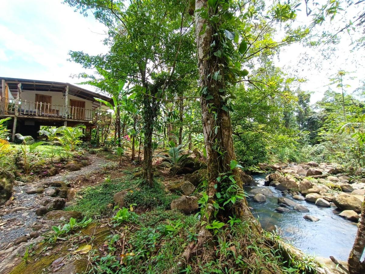 Cabana Vista Rio Celeste Екстериор снимка