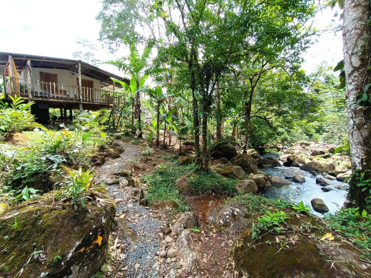Cabana Vista Rio Celeste Екстериор снимка