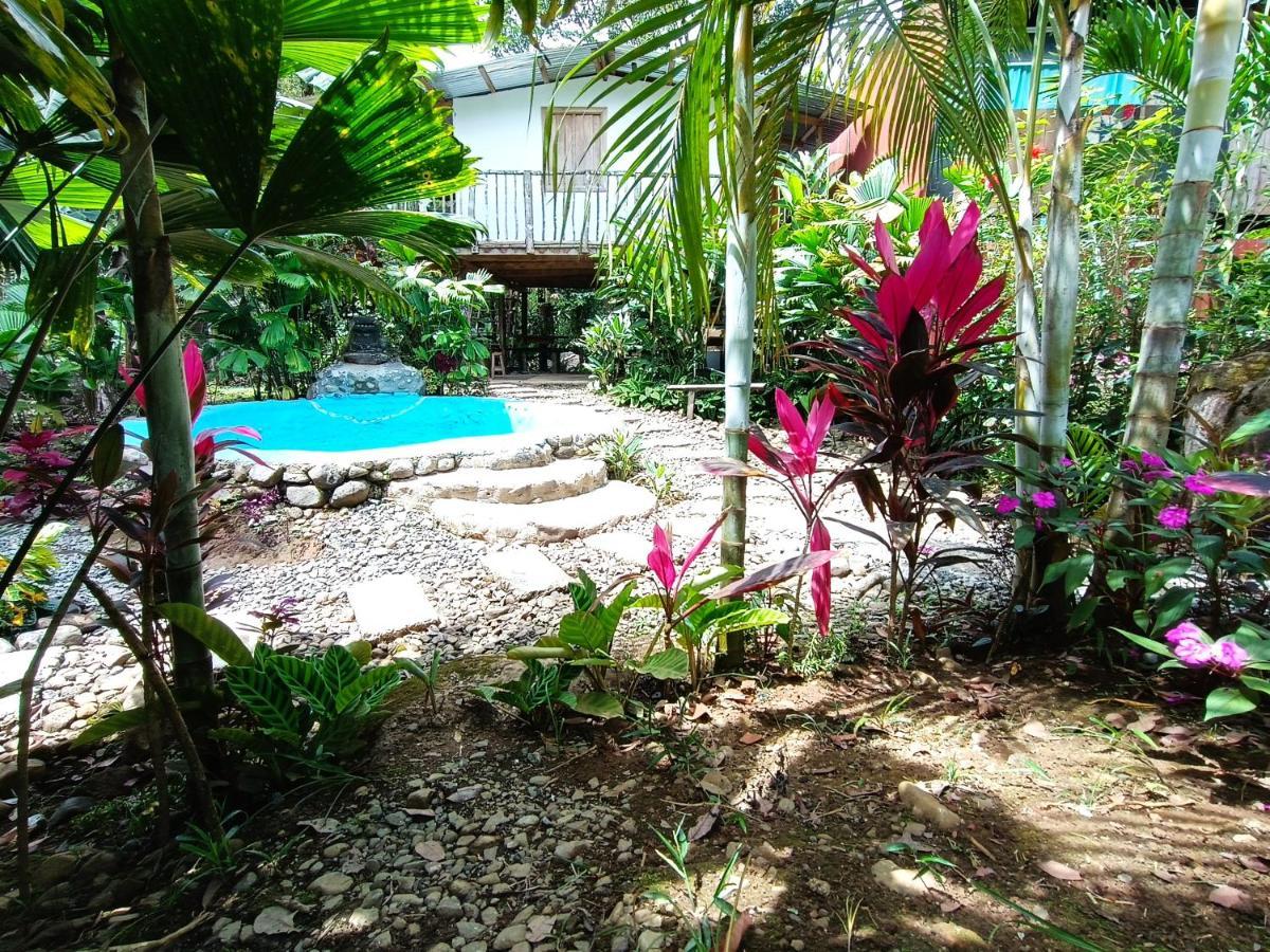Cabana Vista Rio Celeste Екстериор снимка