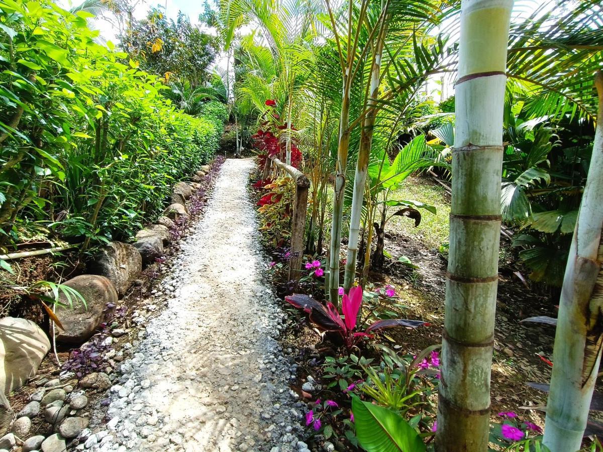 Cabana Vista Rio Celeste Екстериор снимка
