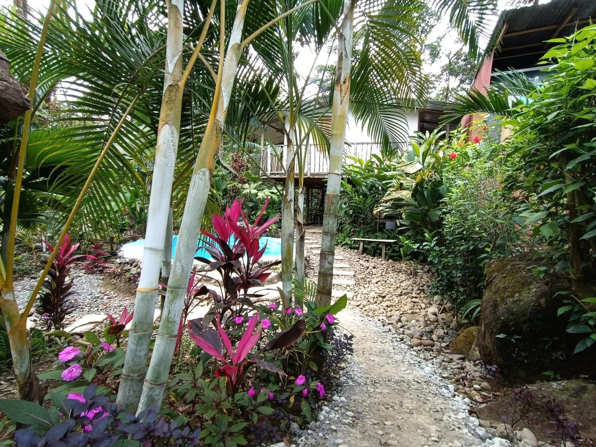 Cabana Vista Rio Celeste Екстериор снимка